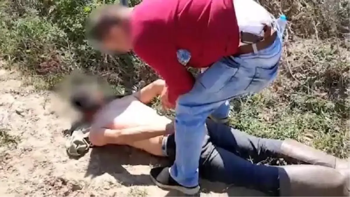 Ormanda kenevir eken 3 şüpheli, suçüstü yakalandı