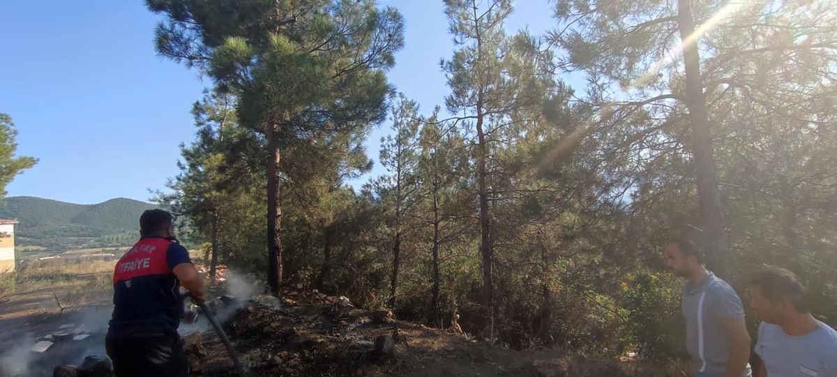 Tokat haberi... Tokat'ta çıkan orman yangını söndürüldü