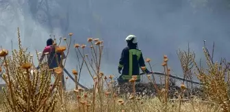 Son dakika haberi | Örtü yangınında arı kovanları ve ağaçlar küle döndü