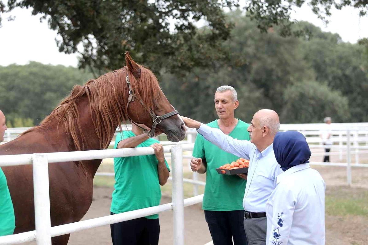 Tarım ve Orman Bakanı Vahit Kirişci: 'Cumhurbaşkanımızın duruşu ile tahıl krizi sorunu çözüldü'