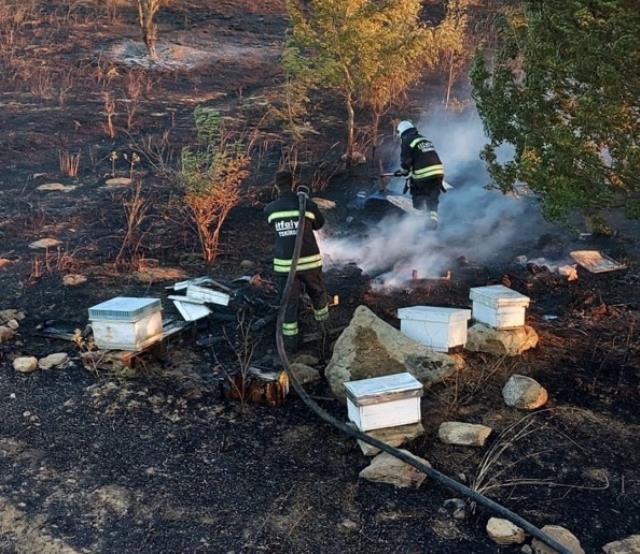 Anız yangını kovanlara sıçradı, binlerce arı diri diri yandı