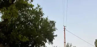 Son Dakika | Bahçe dönüşü patpat devrildi: 3 yaralı