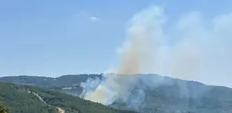 Son dakika haberleri | Biga'da orman yangını (1)