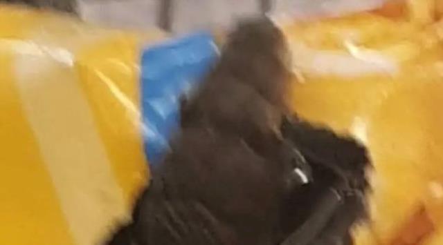 Marketten cips satın alan kadının, poşeti açtığında korkudan eli ayağı titredi