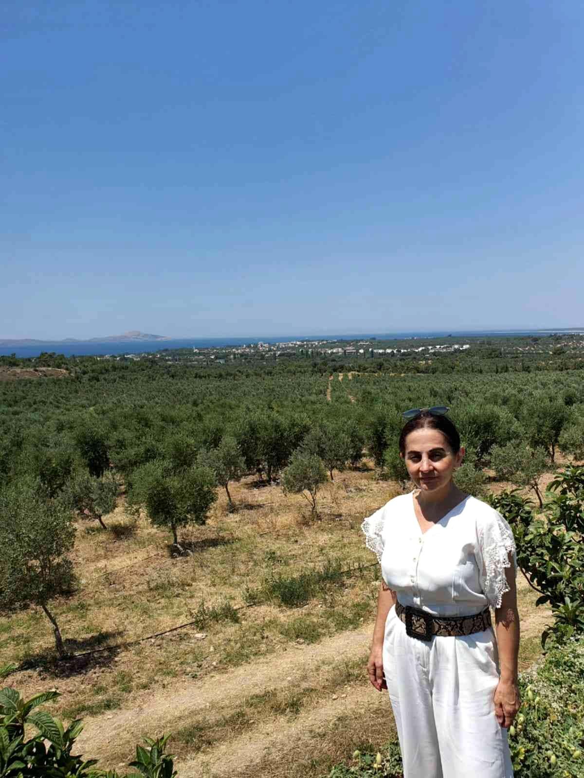 Çanakkale yerel: Dünya çapında firmalarla çalışan Türk iş kadını Yıldız Kalas Çanakkale'de zeytinyağı üretecek