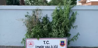 İzmir haber... İzmir'deki uyuşturucu operasyonlarında 3 şüpheli tutuklandı