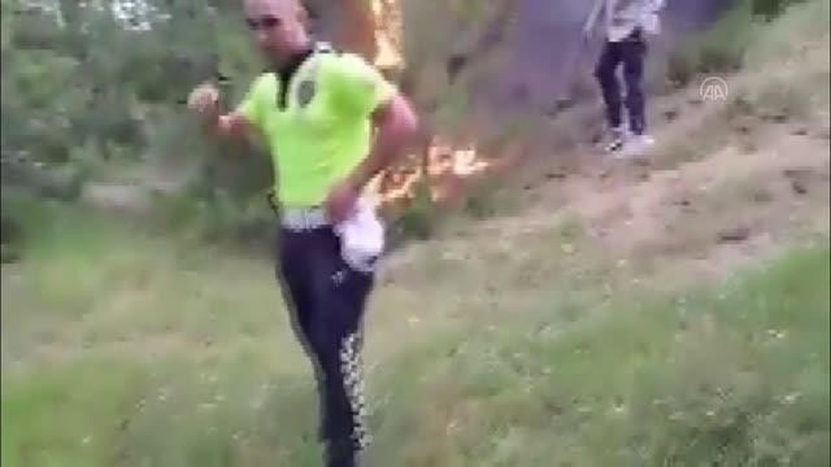 Son dakika haberi... Bolu'da ormanlık alanda çıkan yangını trafik ekipleri söndürdü