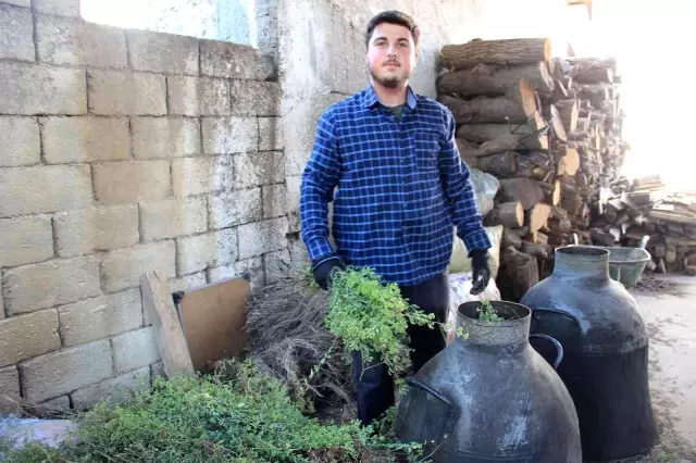 Pandemiyle birlikte altın gibi değerlendi! Litresi 3.500 TL'ye satılan kekik yağında siparişlere yetişemiyor