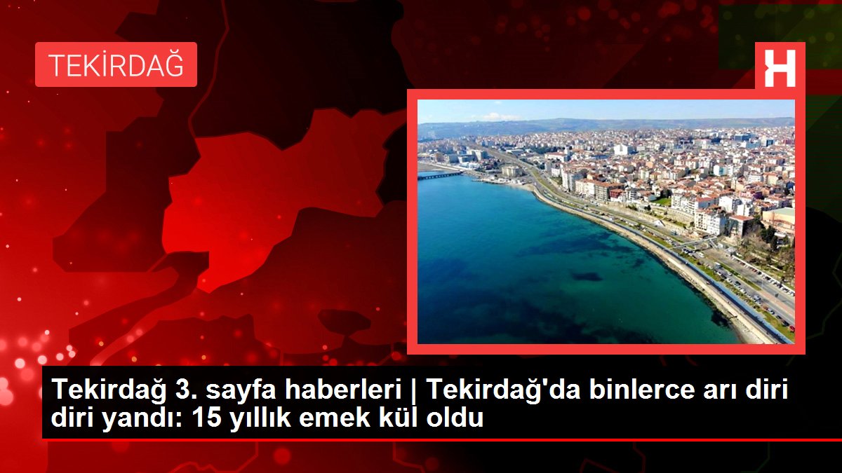 Tekirdağ 3. sayfa haberleri | Tekirdağ'da binlerce arı diri diri yandı: 15 yıllık emek kül oldu