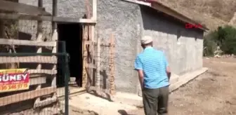 Kümesinde beslediği 120 tavuğu çaldılar