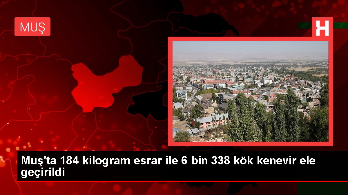 Muş gündem haberleri: Muş'ta 184 kilogram esrar ile 6 bin 338 kök kenevir ele geçirildi
