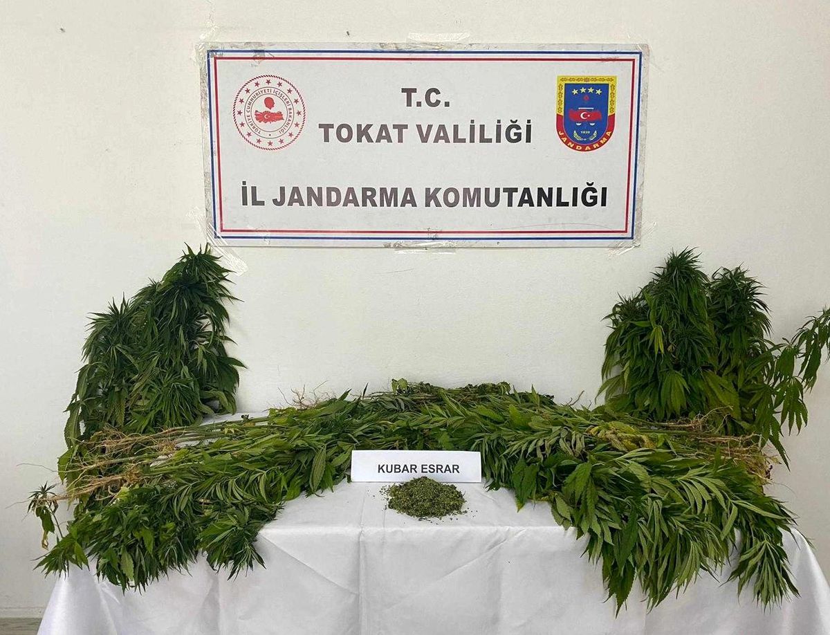 Tokat haber... Tokat'ta uyuşturucu operasyonu, bir kişi tutuklandı