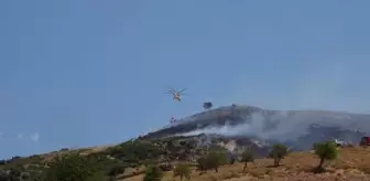 Son dakika haber: Çanakkale'de çıkan orman yangını kontrol altına alındı