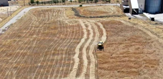 Diyarbakır haberi! Diyarbakır'da devlet desteğiyle tarımsal üretimde artış devam ediyor