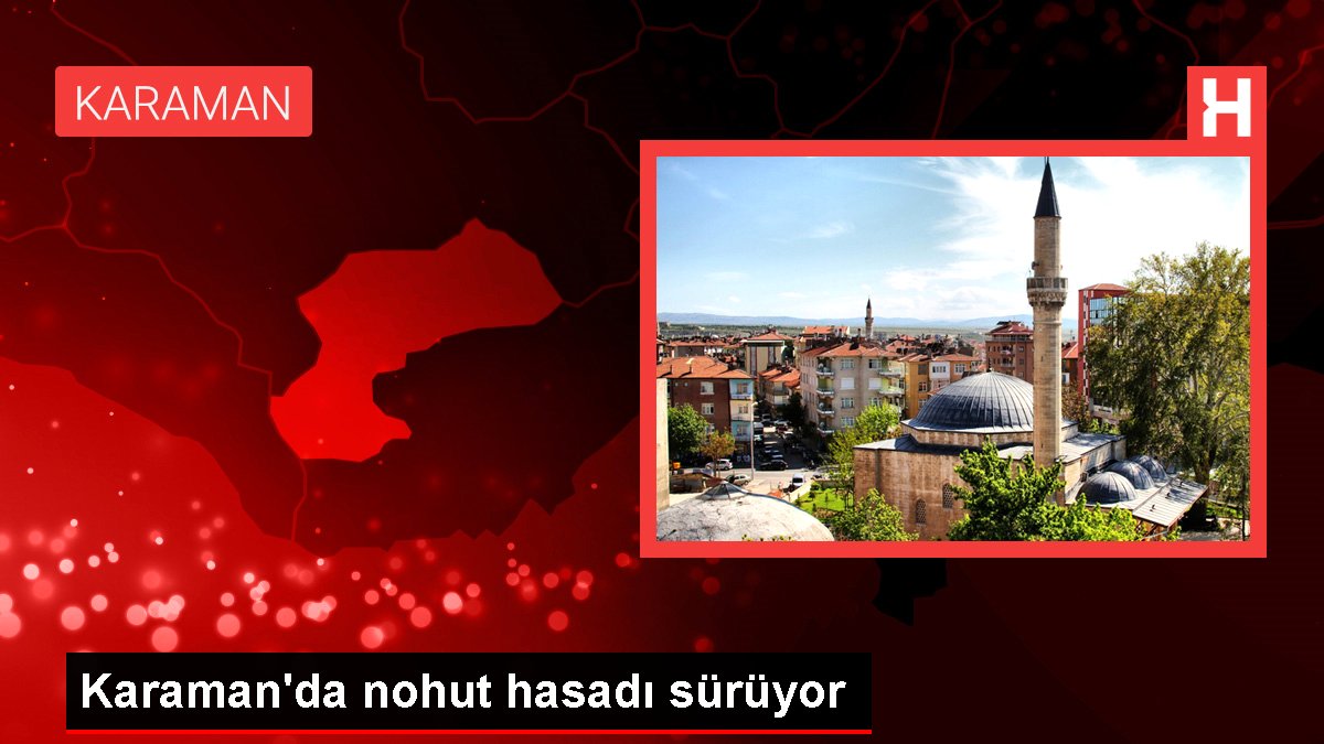 Karaman haberleri | Karaman'da nohut hasadı sürüyor
