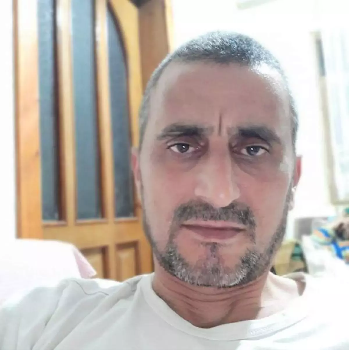 Kestiği ağaç dalının çarpmasıyla düşüp öldü