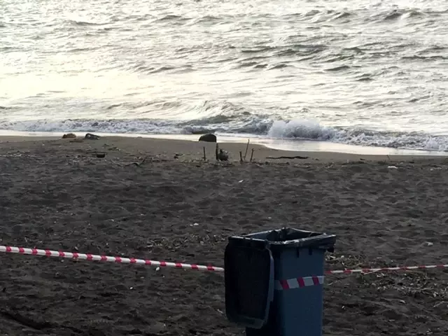 Rus yapımı mayın tetikleyicisi Ordu sahiline vurdu