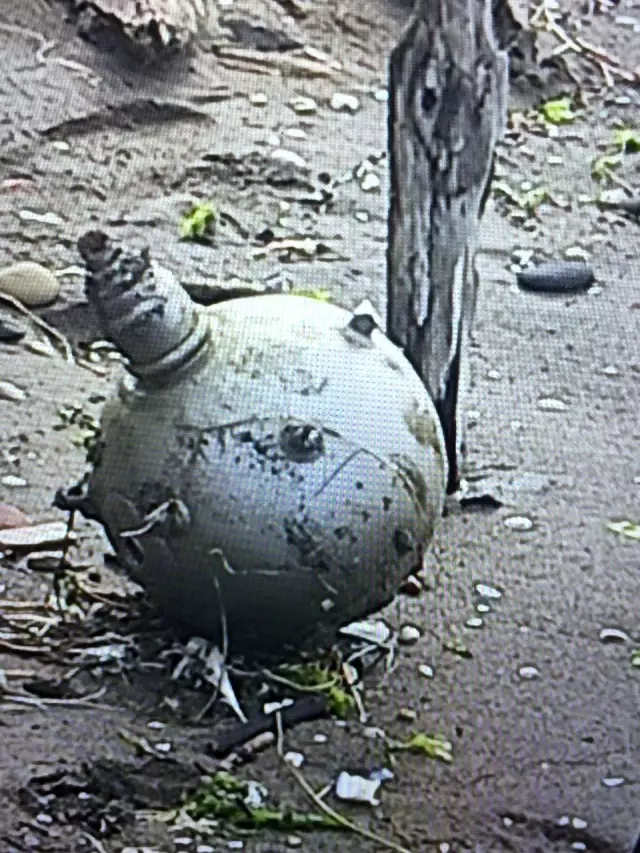 Rus yapımı mayın tetikleyicisi Ordu sahiline vurdu