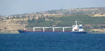 Çanakkale haberleri | Tahıl gemisi Çanakkale Boğazı'na ulaştı