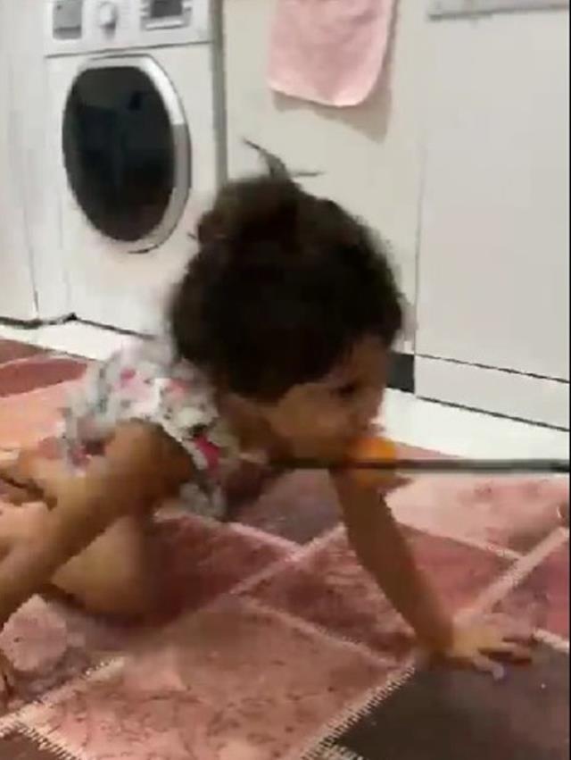 Tepki çeken görüntü! Pitbull saldırısına uğrayan minik Asiye'nin annesi tarafından tasmalandığı ortaya çıktı