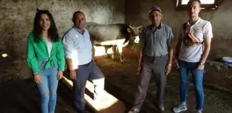 Ahbap, kesimden kaçıp 25 gün sonra yakalanan kurbanlığı satın aldı