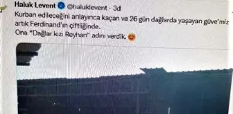 Ahbap, kesimden kaçıp 25 gün sonra yakalanan kurbanlığı satın aldı (2)
