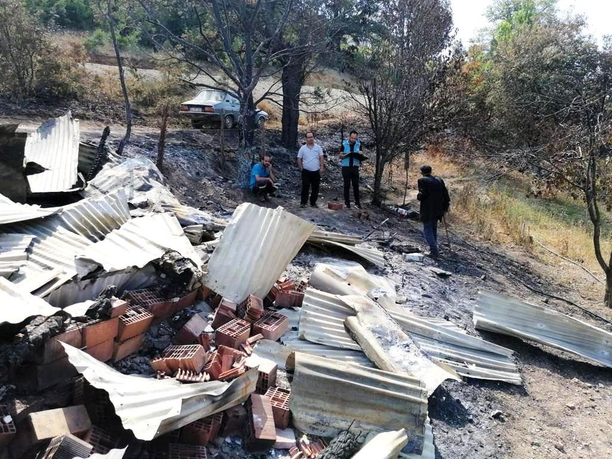 Son dakika haber! Emet'te orman yangını sonrası ürünlerde zarar tespit çalışması