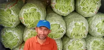 Satış fiyatı 6-7 TL'ye düşen fasulye bu kez üreticisini üzdü