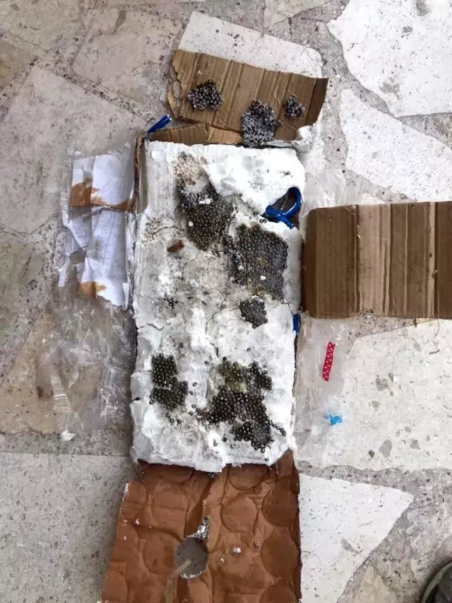 Bakan Soylu: 'PKK/PYD'nin Cerablus'ta gerçekleştireceği bombalı saldırı engellendi'