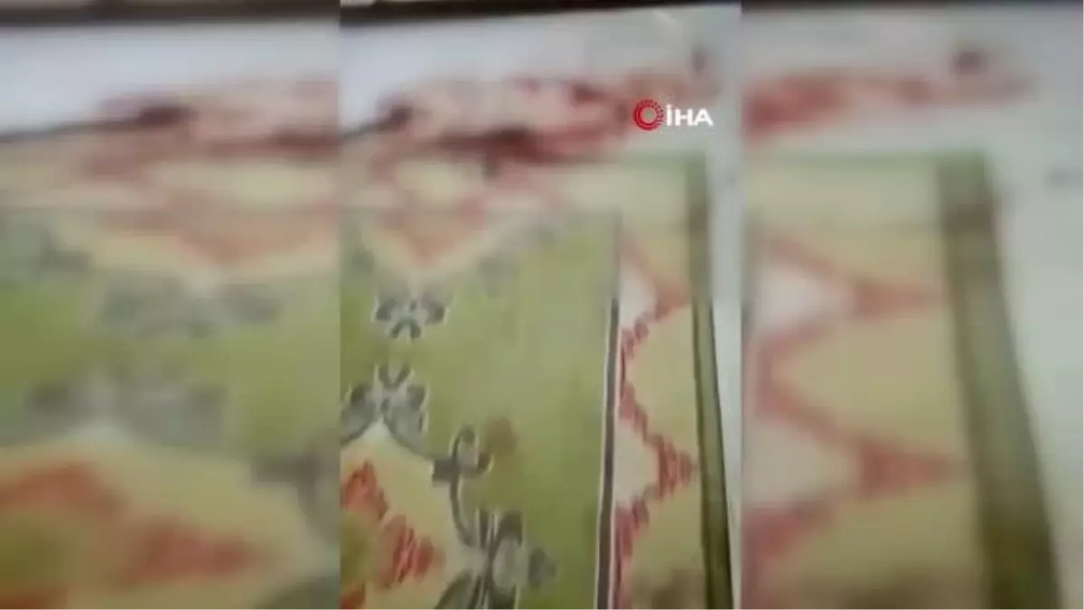 Hatay 3. sayfa haberi... Hatay'da dehşet...Yaşlı kadın akrabası tarafından 34 yerinden bıçaklandı