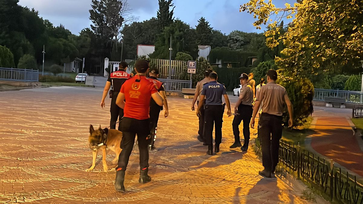 Polisten asayiş denetimi