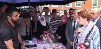 Bilecik haberleri | İYİ Parti Genel Başkanı Akşener, Bilecik'te ziyaretlerde bulundu