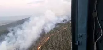 Manisa haberi! Manisa'da ormanlık alanda yangın