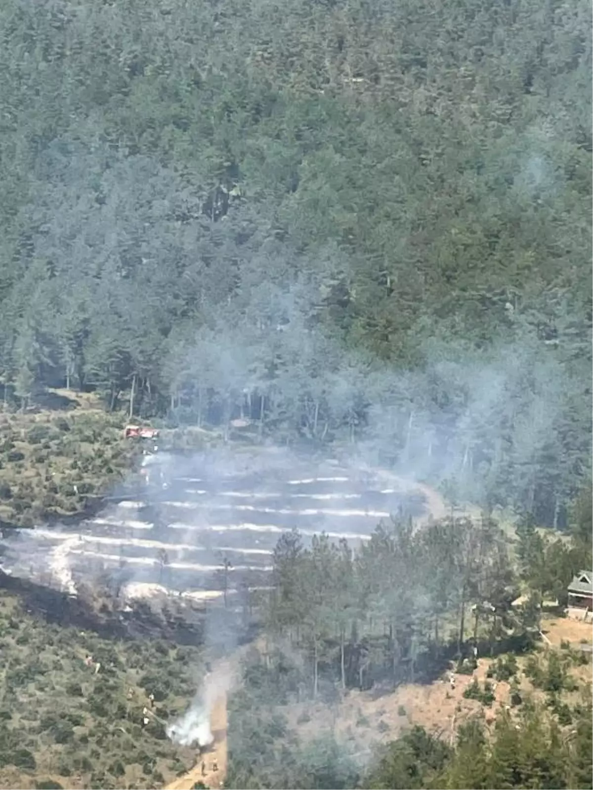 Bursa haberi: Bursa'da çıkan orman yangını söndürüldü