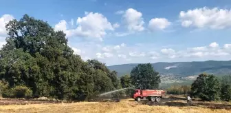Çanakkale haber... Çanakkale'de çıkan orman yangını kontrol altına alındı