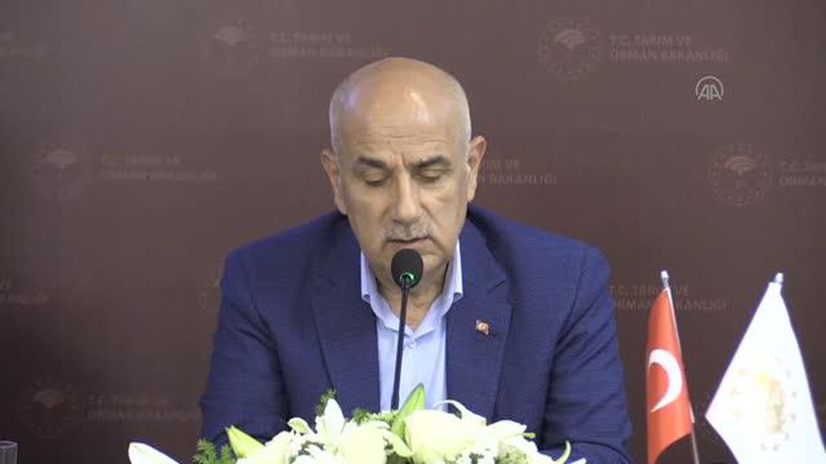 Kirişci: '(Tahıl koridoru anlaşması) Türkiye'nin kendi özgün, uluslararası duruşunu sergilemesiyle oldu'