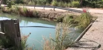 Serinlemek istediği sulama kanalında can verdi