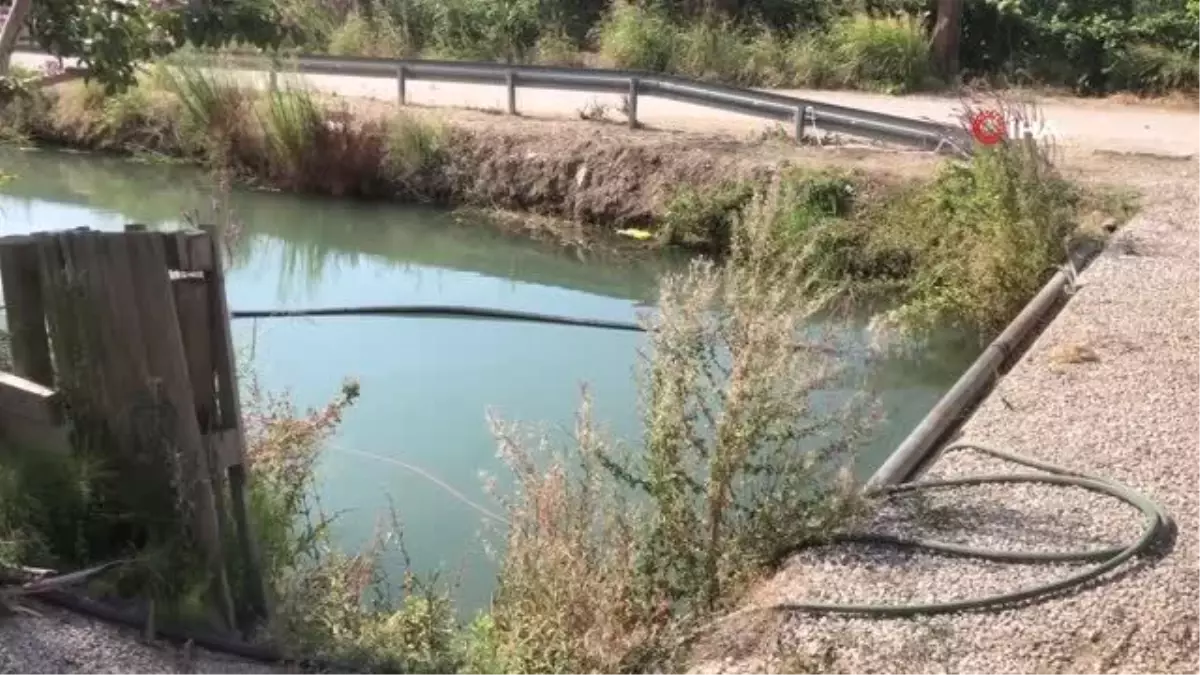 Serinlemek istediği sulama kanalında can verdi