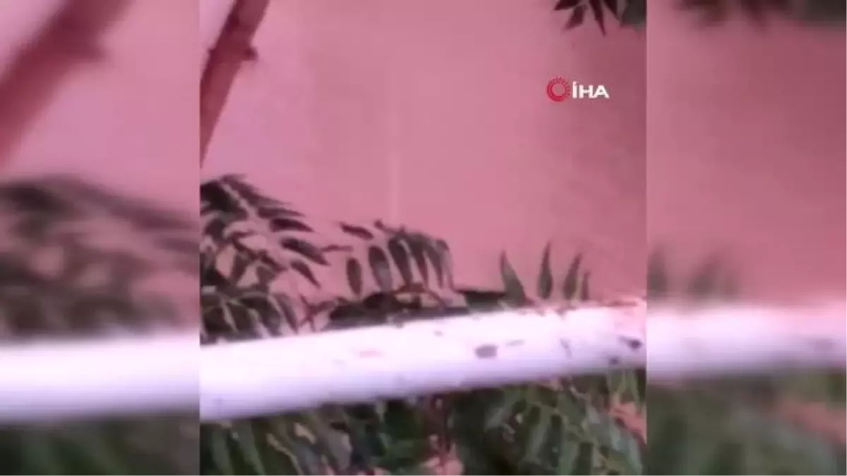 Uşak gündem haberi: Uşak'ta şiddetli yağış sonrasında su baskınları yaşandı