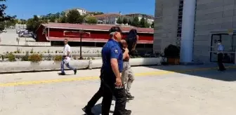 300 metrelik kabloyu çalarken yakalanan 2 şüpheli tutuklandı
