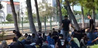 Aydın haberi... Didim'de 97 göçmen kamyonet kasasında yakalandı