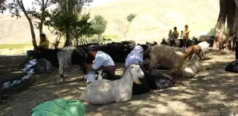 Doğulu kadınların zorlu yaşantısı