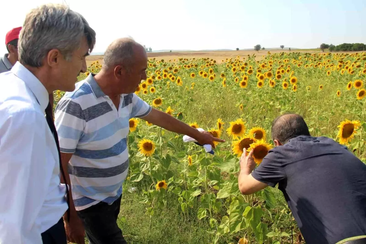 DPÜ üretim seferberliği başlattı