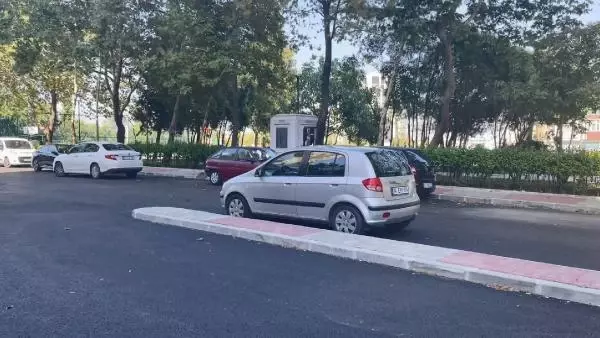 İstanbul'da pitbullu saldırı faillerinden 2'si serbest bırakıldı: Kardeşimin kulağını kaybetme ihtimali yüzde 90 İstanbul'da pitbullu saldırı faillerinden 2'si serbest bırakıldı: Kardeşimin kulağını kaybetme ihtimali yüzde 90