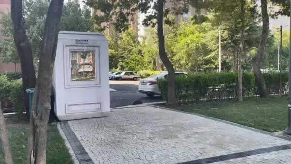 İstanbul'da pitbullu saldırı faillerinden 2'si serbest bırakıldı: Kardeşimin kulağını kaybetme ihtimali yüzde 90 İstanbul'da pitbullu saldırı faillerinden 2'si serbest bırakıldı: Kardeşimin kulağını kaybetme ihtimali yüzde 90