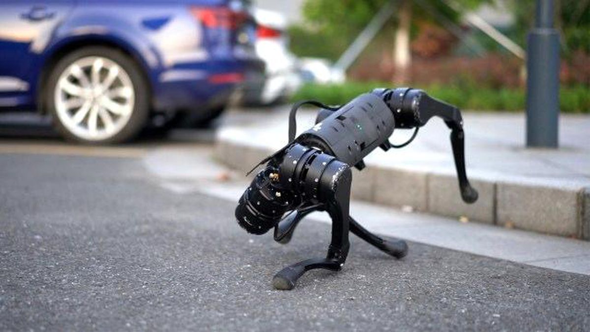 ABD'li araştırmacılar 'en akıllı' robot köpeği geliştirdi