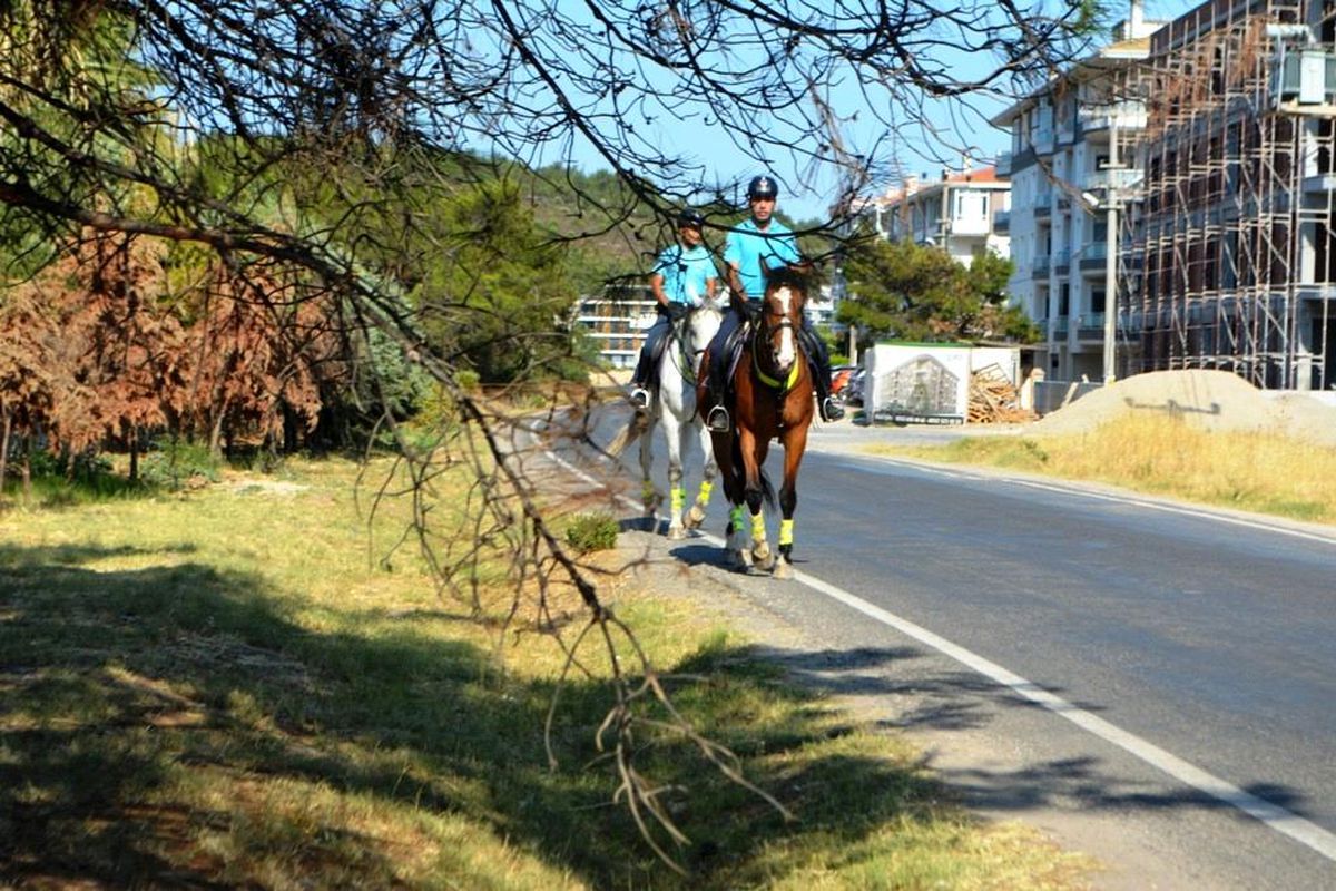 Balıkesir 3. sayfa haberi: Ayvalık'ta orman yangınlarına karşı atlı jandarma önlemi