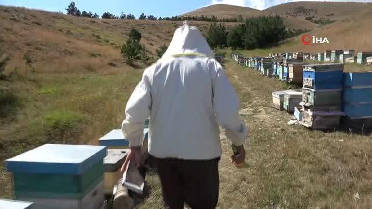 Emekli öğretmen hobi olarak 1 kovanla başladığı arıcılığı 100 kovana çıkarttı