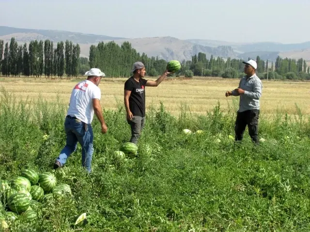 Pandemide işsiz kalıp köyüne döndü, şimdi yaptığı iş sayesinde paraya para demiyor