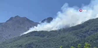 Son dakika haber... Yunanistan'ın Semadirek Adası'nda orman yangını
